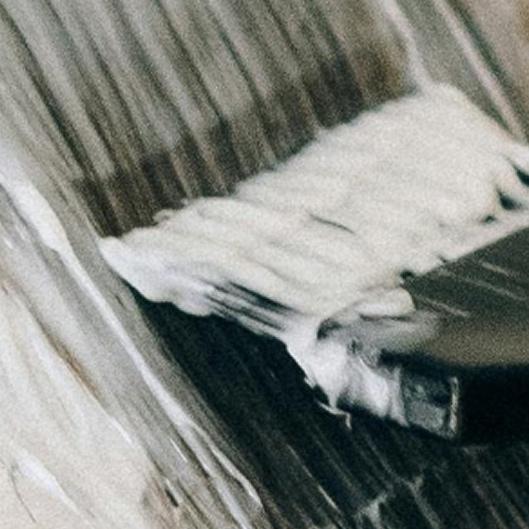 Rooted renewal tape in